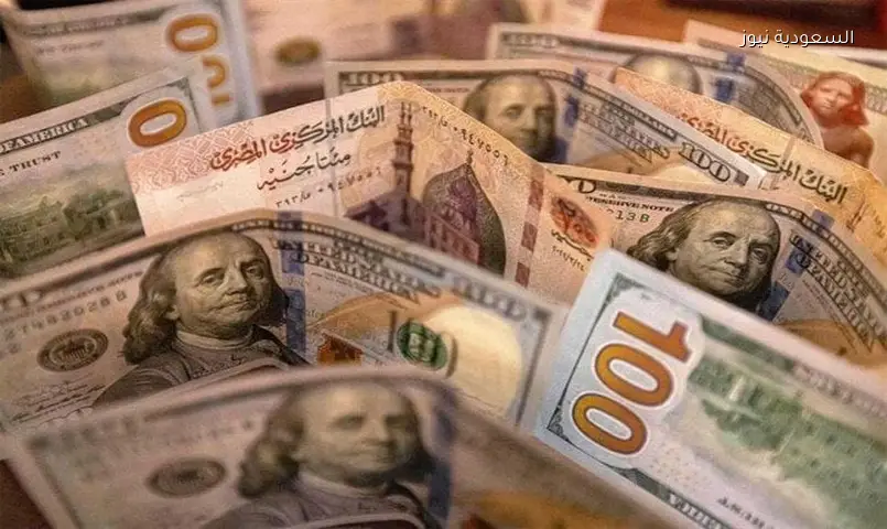 استقرار سعر الدولار أمام الجنيه المصري اليوم الجمعة 12 يونيو 2026 في البنوك المصرية