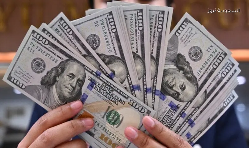 استقرار سعر الدولار مقابل الجنيه المصري اليوم 13 يونيو 2026