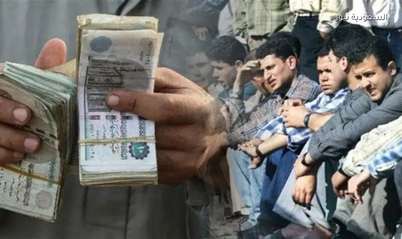 صرف 1500 جنيه للعمالة غير المنتظمة: كيف تستعلم عن المنحة؟