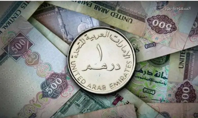 الدرهم الإماراتي اليوم: أعلى وأقل سعر مقابل الجنيه المصري (20 يونيو 2026)