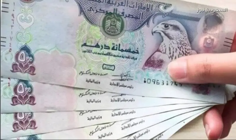 الدرهم الإماراتي اليوم الأحد: أسعار الصرف في البنوك المصرية 21 يونيو 2026