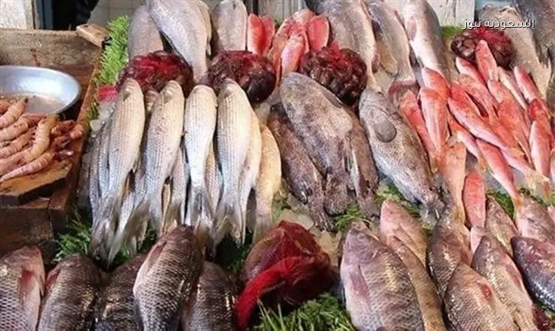 أسعار السمك والجمبري اليوم 22 يونيو: البلطي 77 والجمبري 850 جنيهاً