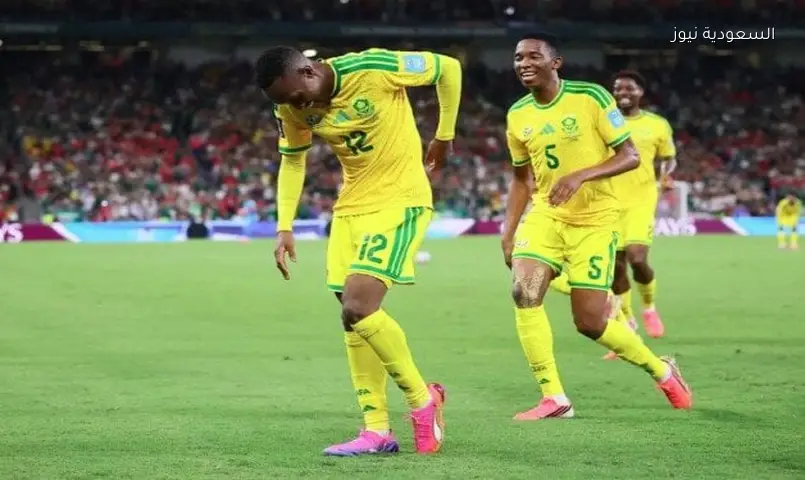 هدف ماسيكو يصعد بجنوب إفريقيا لدور الـ32 في كأس العالم