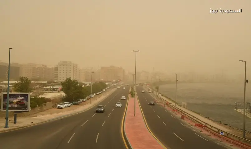 توقعات الأرصاد: غبار وأمطار رعدية اليوم على عدة مناطق بالمملكة