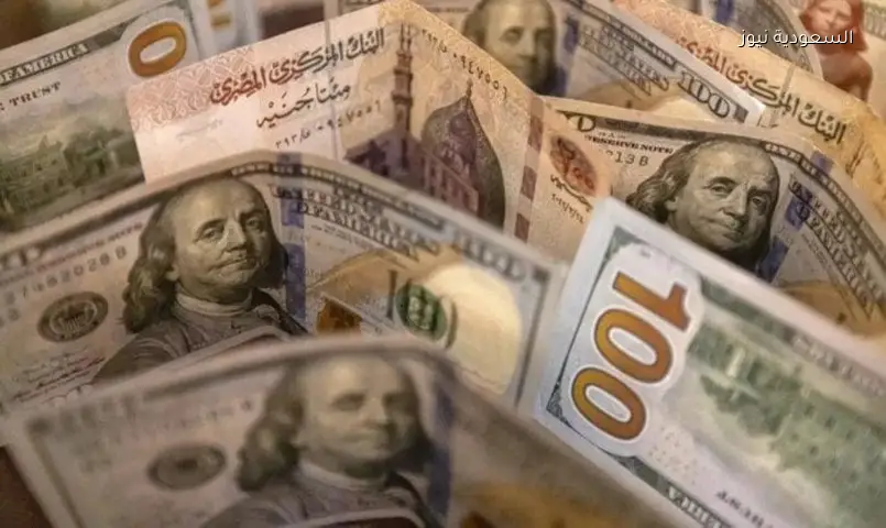 هبوط سعر الدولار 20 قرشًا أمام الجنيه اليوم الخميس