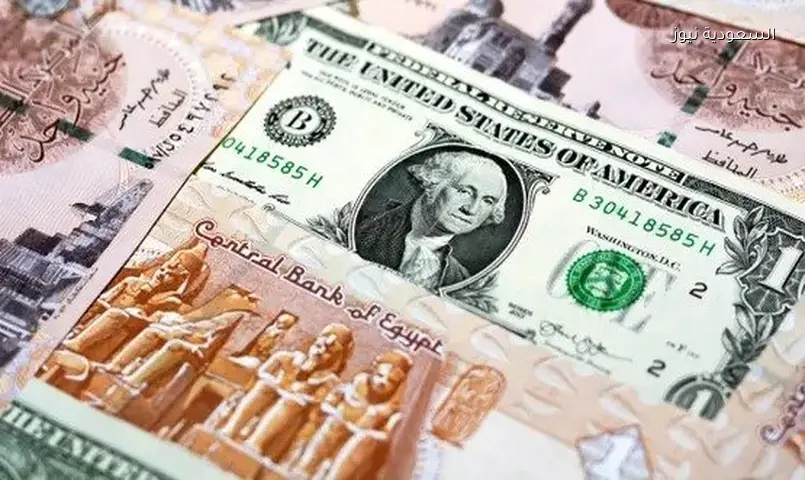 الدولار يسجل أدنى مستوى في 100 يوم.. وهذه أسعاره بالبنوك