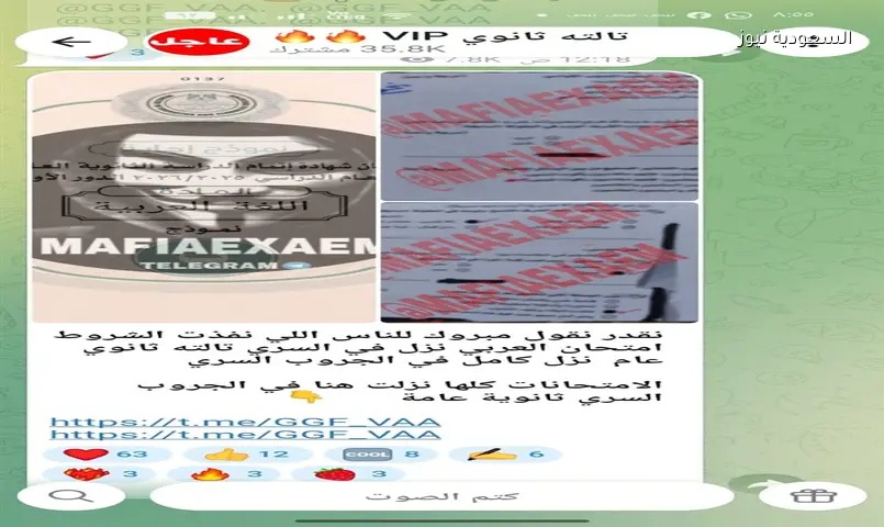 جروبات “شاومينج” تزعم تسريب امتحان اللغة العربية لـ “الثانوية العامة 2026”