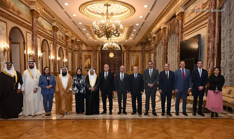 مصر والبحرين: دعوة لتعزيز الاستثمار وتأكيد الأمن القومي المشترك