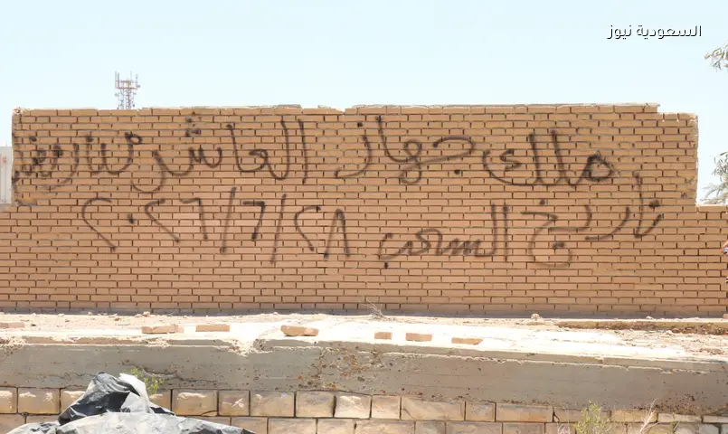 سحب أراضٍ صناعية غير مستغلة بالعاشر من رمضان وبدر لإعادة طرحها