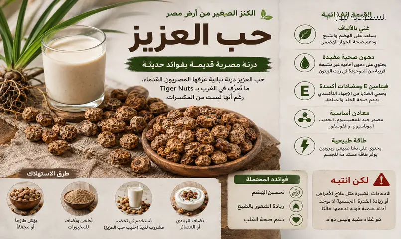 حب العزيز: سر الفراعنة الغذائي الذي يبهر الغرب