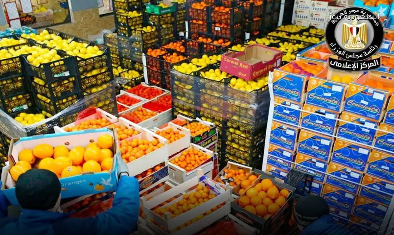 مصر تصدر 180 ألف طن غذاء في أسبوع: 730 صنفًا و1370 شركة
