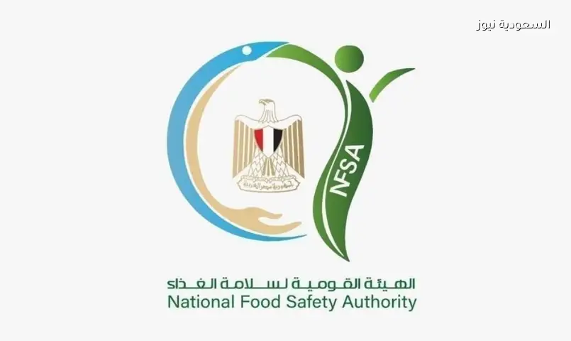 مصر تصدر 216 ألف طن غذاء عالميًا في أسبوع… أمريكا أكبر مستورد