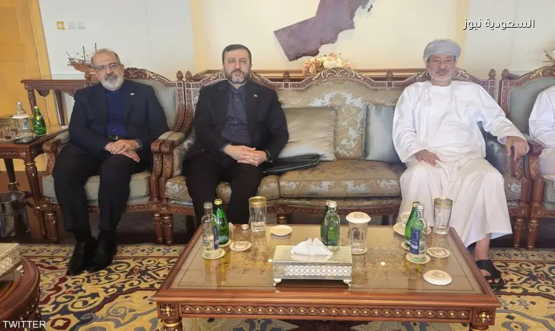مسقط: إيران وعُمان تبدآن التنسيق لإدارة مضيق هرمز