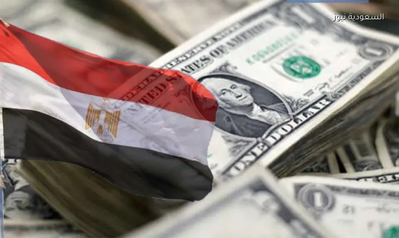 استثمارات أجنبية ضخمة: 7.3 مليار دولار لأدوات الدين المصرية بشهر يونيو