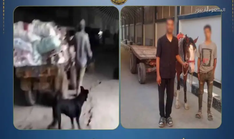 المرج: ضبط شخصين ألقيا مخلفات بعربة كارو بعد انتشار فيديو