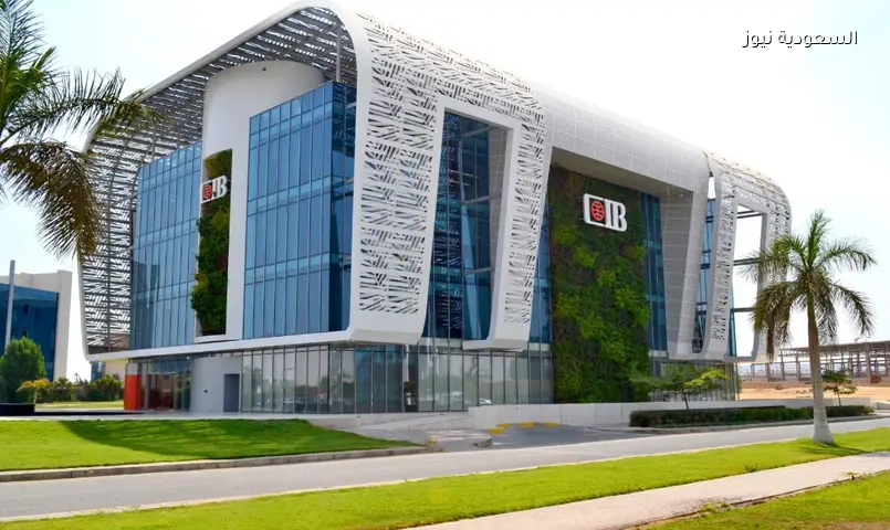 CIB يستثمر في قيادات مصر: شراكة مع جامعة IE العالمية للتعليم التنفيذي