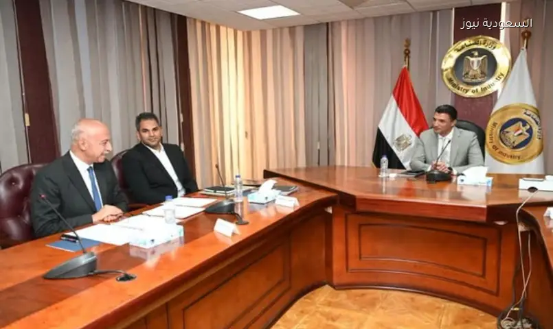 مصر تدعم توطين شواحن السيارات ومكونات الطاقة الكهربائية