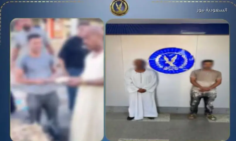 المنوفية: فيديو الخبز المدعم كان تمثيلية مفبركة لكسب المشاهدات