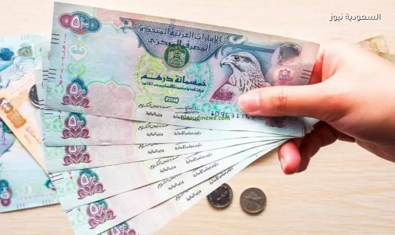 الدرهم الإماراتي مقابل الجنيه: أسعار البنوك اليوم الأحد 28 يونيو 2026
