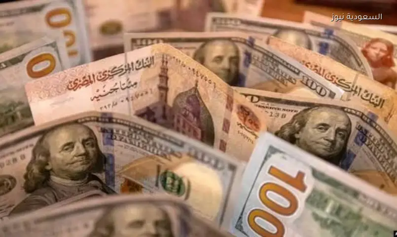 اليورو واليوان يزاحمان الدولار في احتياطيات البنوك المركزية