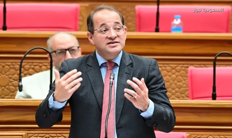 مصر: 50% من عوائد الطروحات الحكومية لخفض الدين العام
