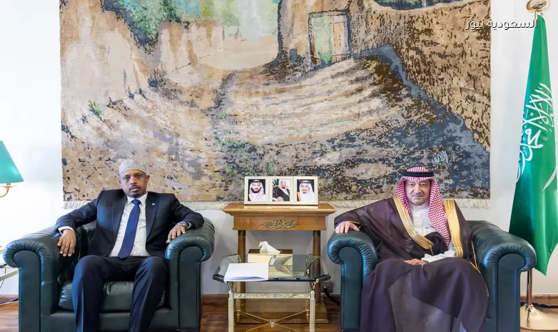 نائب وزير الخارجية السعودي يستقبل سفير الصومال الجديد بالرياض