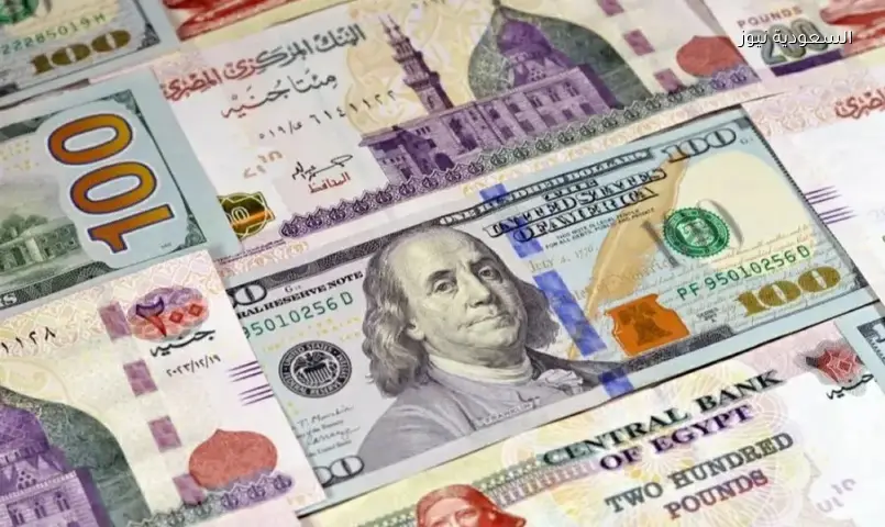 سعر الدولار اليوم: آخر تحديثات البيع والشراء في البنوك المصرية