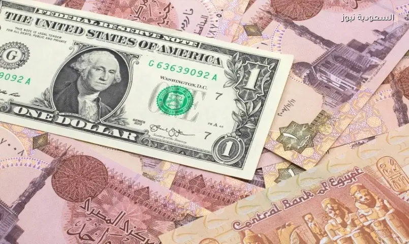 الدولار يقفز 3 قروش.. ارتفاع جماعي للعملات في البنك الأهلي