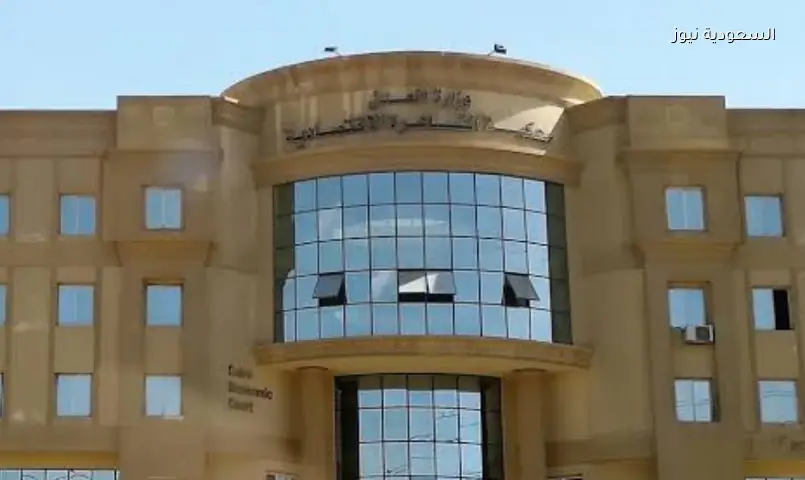 السجن لعضو بـ”المحامين” وتغريمه 40 ألف جنيه بسبب نشر فيديو مسيء