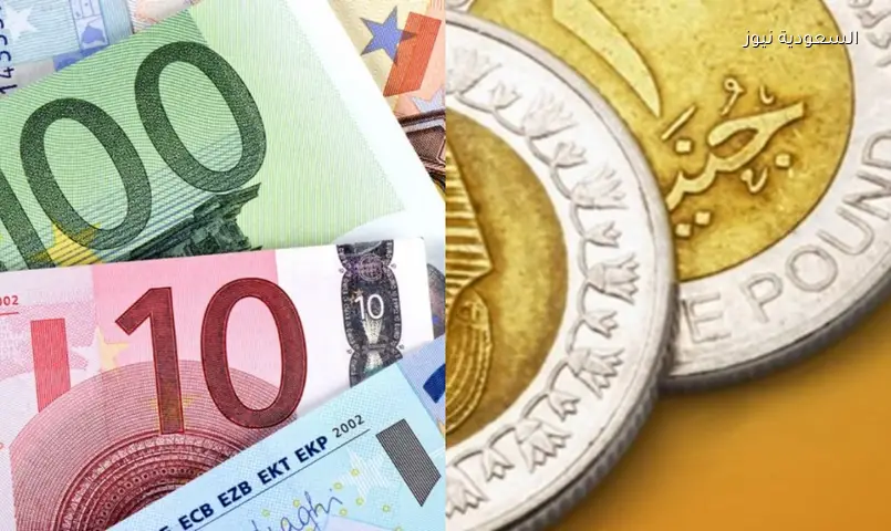 سعر اليورو اليوم: أحدث أسعار الصرف مقابل الجنيه المصري في البنوك