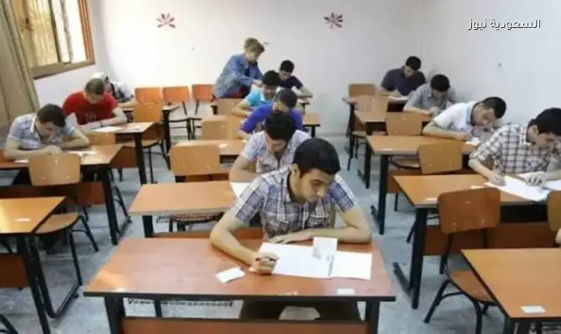 نتائج الشهادة الإعدادية 2026: القاهرة والجيزة تعلنان نسبة النجاح وتتيحان الاستعلام