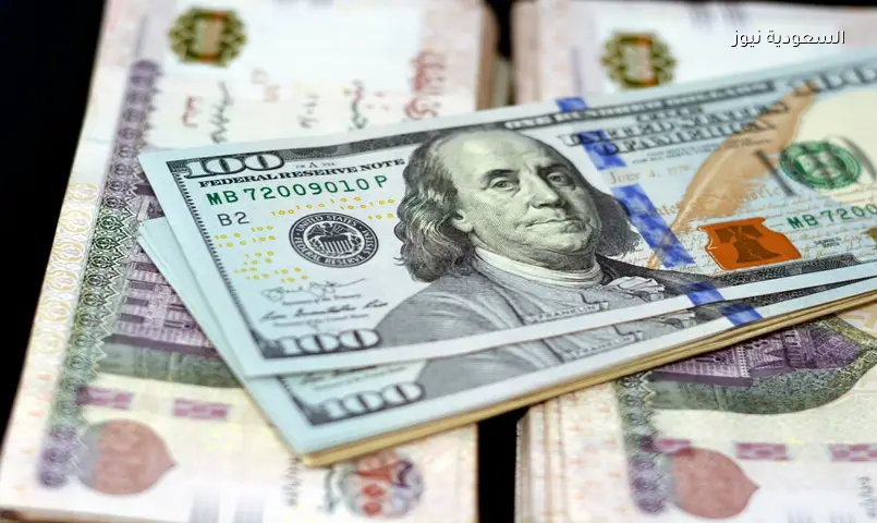الدولار يهبط دون 50 جنيهًا.. خسارة 1.20 جنيه في 4 أيام