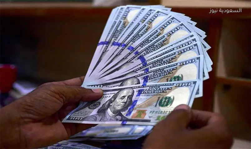 سعر الدولار اليوم السبت 20 يونيو 2026: استقرار الجنيه أمام الأخضر وأسعار البنوك