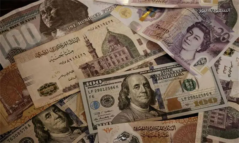 الدولار يفقد 58 قرشًا خلال أسبوع ويلامس 49.74 جنيهًا