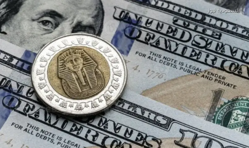 تحديث مباشر: أسعار الدولار في البنوك المصرية اليوم