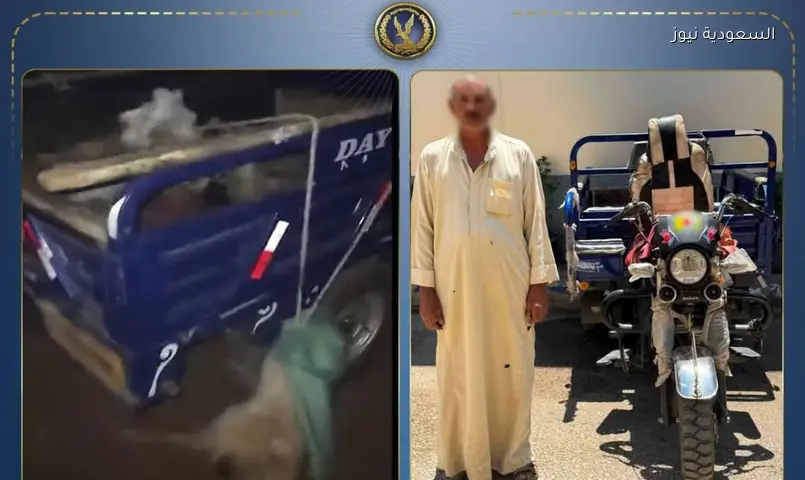 القبض على سائق تروسيكل ربط كلبين ورمى بهما في المنوفية