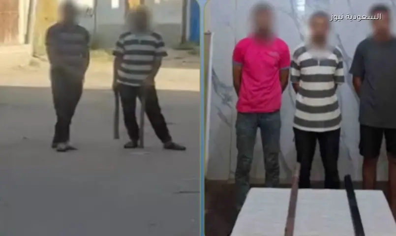 حبس شقيقين في البحيرة بعد فيديو بلطجة متداول