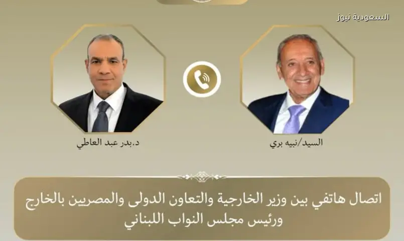 مصر تدعو لانسحاب إسرائيل الكامل من لبنان وتطبيق قرار 1701