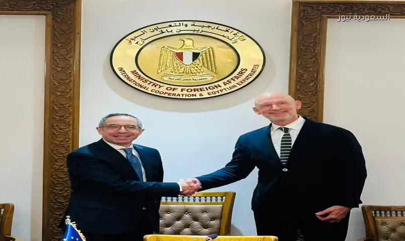 مصر والاتحاد الأوروبي يناقشان إصلاح الأمم المتحدة ومستقبل حفظ السلام