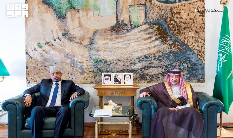 نائب وزير الخارجية يستقبل سفير الصومال المعيّن لدى المملكة في الرياض