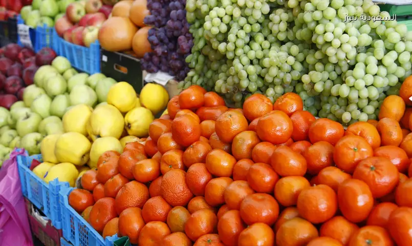 دعم حكومي بمليون دينار يعزز صادرات 500 مزارع أردني
