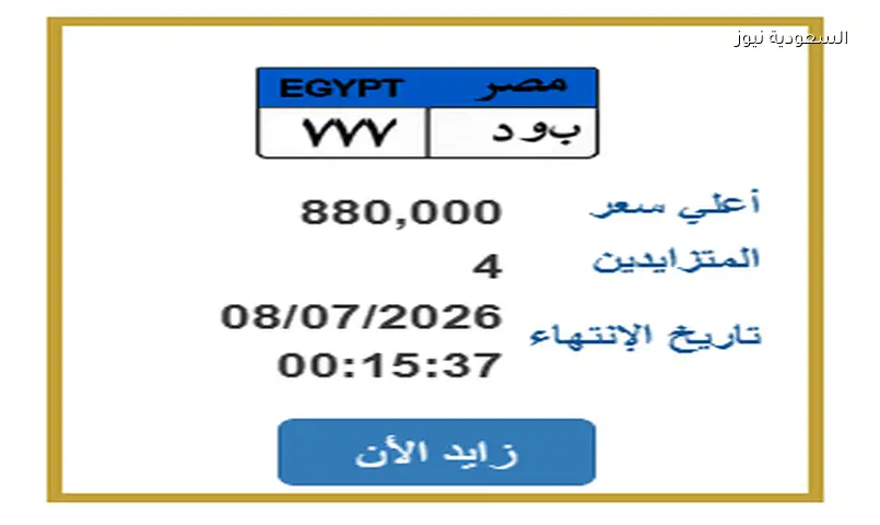لوحة «ب و د 777» تتجاوز 880 ألف جنيه في مزاد مرور مصر
