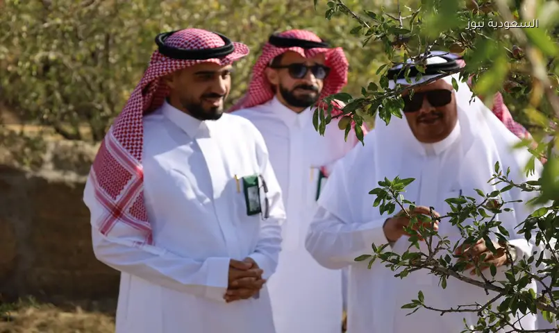 مدير بيئة مكة يتفقد بني مالك: دعم لمشاريع الرمان والبن والاستثمار