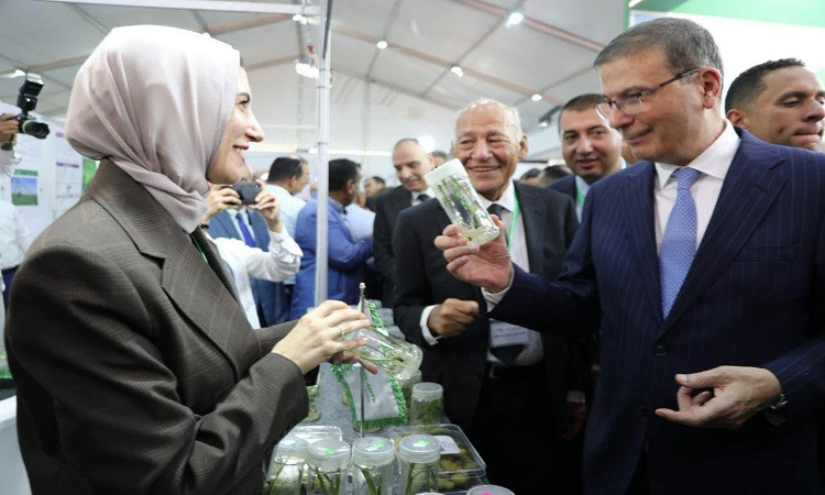 ابتكارات زراعية حديثة في معرض البحوث الزراعية