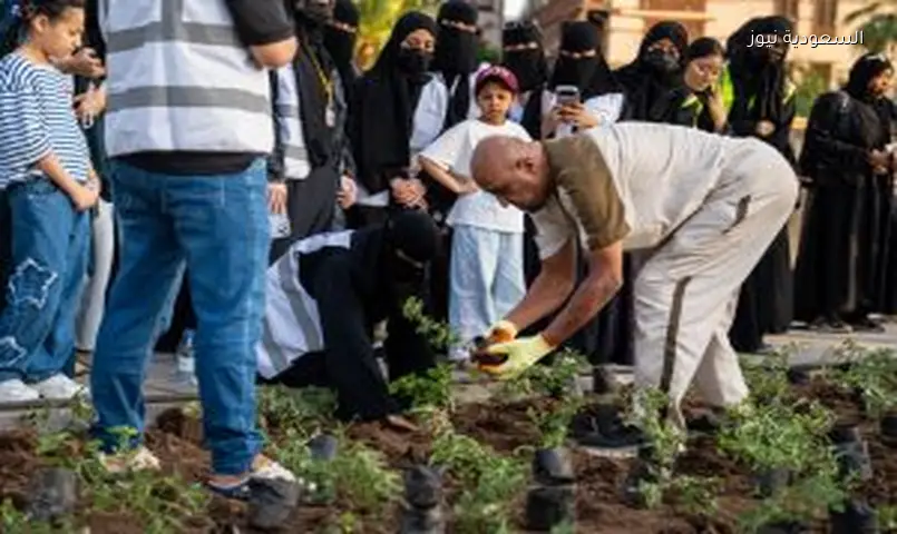 جدة التاريخية: 4 آلاف شتلة في المرحلة الأولى من مبادرة التشجير