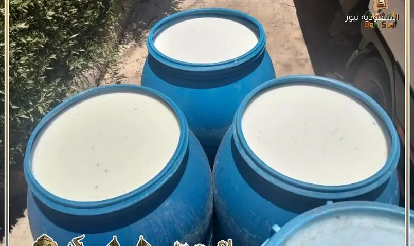 حملات بني سويف تضبط أطعمة ومشروبات فاسدة و22 منشأة بلا ترخيص