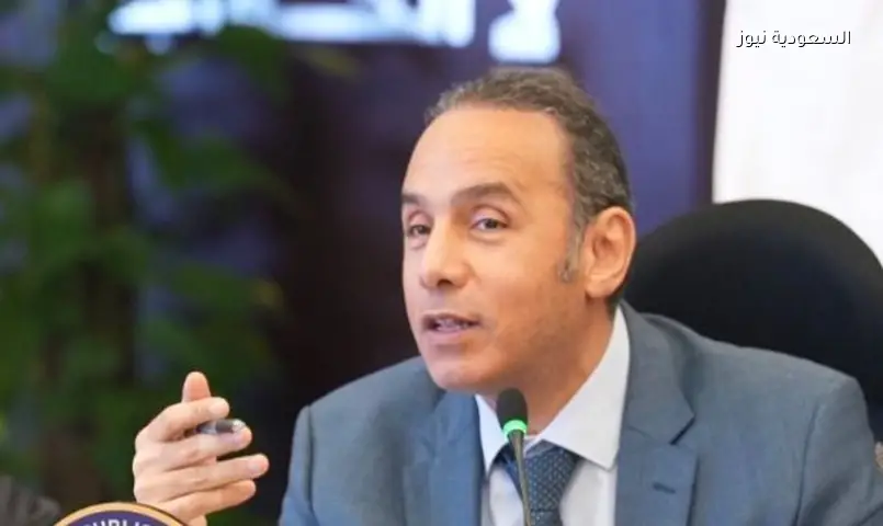 وثيقة تأمين جديدة للمصريين بالخارج تغطي الفصل التعسفي بـ100 ألف جنيه
