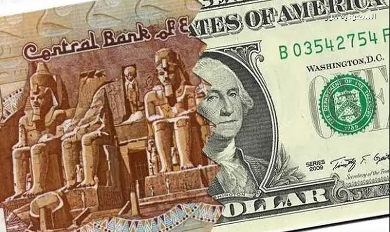 الدولار يتراجع جماعيًا بالبنوك المصرية: هذه أحدث الأسعار