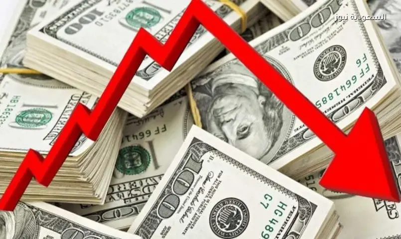 الدولار يتراجع دون 51 جنيهًا أمام الجنيه المصري اليوم الثلاثاء
