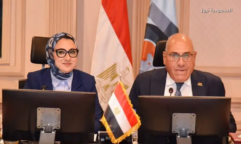 الوادي الجديد والهيئة العربية للتصنيع: دفع العمل بمصنع أخشاب MDF